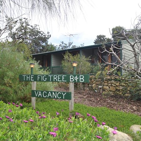The Fig Tree B&B Baudin Beach Extérieur photo