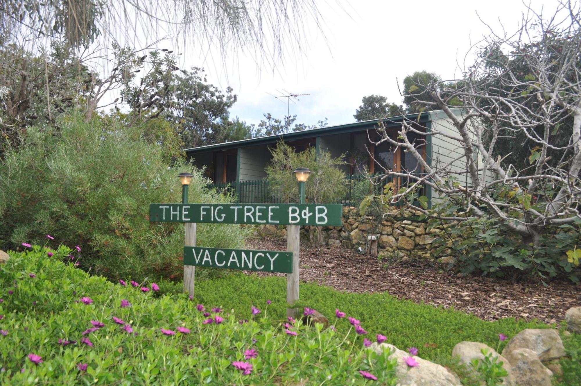 The Fig Tree B&B Baudin Beach Extérieur photo